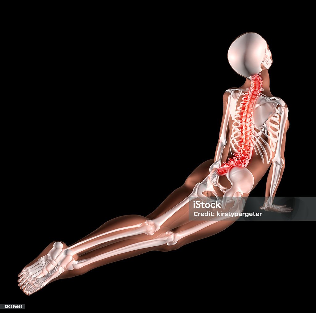 Squelette de femme Étirer le dos - Photo de Squelette humain libre de droits