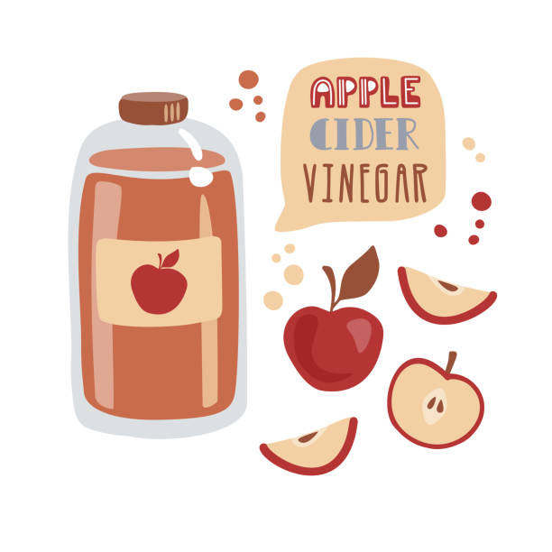 ilustraciones, imágenes clip art, dibujos animados e iconos de stock de ilustración ector vinagre de sidra de manzana en estilo plano de moda. - decanter