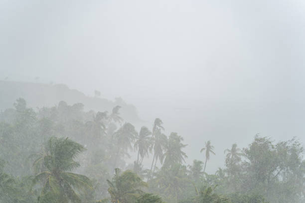 istock Sudden heavy tropical rain darkening the sky 1208148788