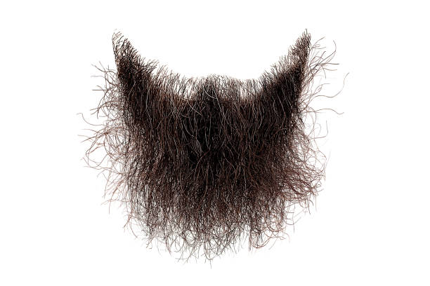 barbe brune échevelée d’isolement sur le blanc. mode masculine - barbe photos et images de collection