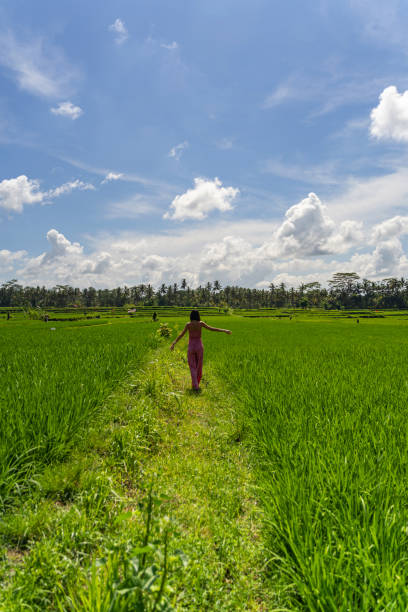 istock Charming young woman going to rice terraces 1208151068
