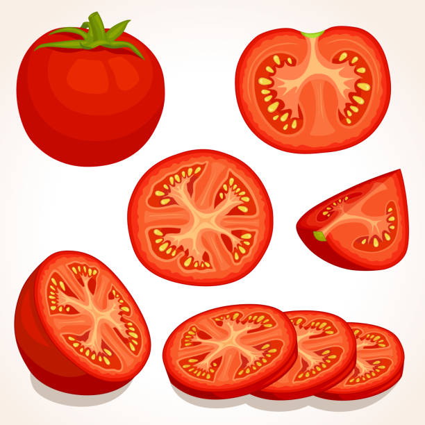 Vector fresh tomato. Sliced, whole, half red tomatoes. Set of different tomatoes isolated on background. Vector illustration. Whole, sliced, quarter, half of a tomato fruit. tomato slice stock illustrations