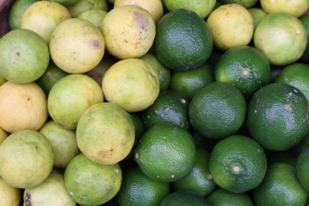 lemon and lime - lime market vietnam fruit imagens e fotografias de stock