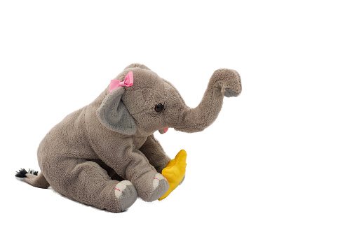 A large toy elephant carrying a symbolic colorectal cancer wristband labeled \