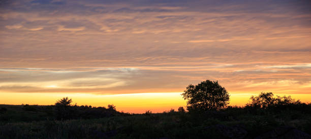 istock Silhouette of a tree on the right in the sunset sky 1208159991