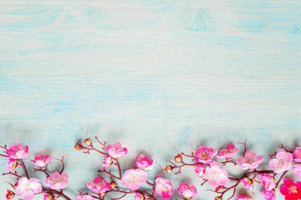istock Pink flowers on blue wooden background 1208160501