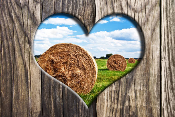 Wooden heart and landscape background