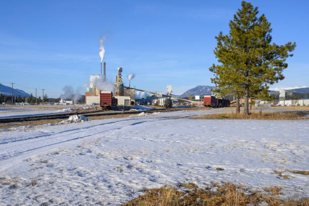 istock Pulp Mill at Skookumchuck 1208165047