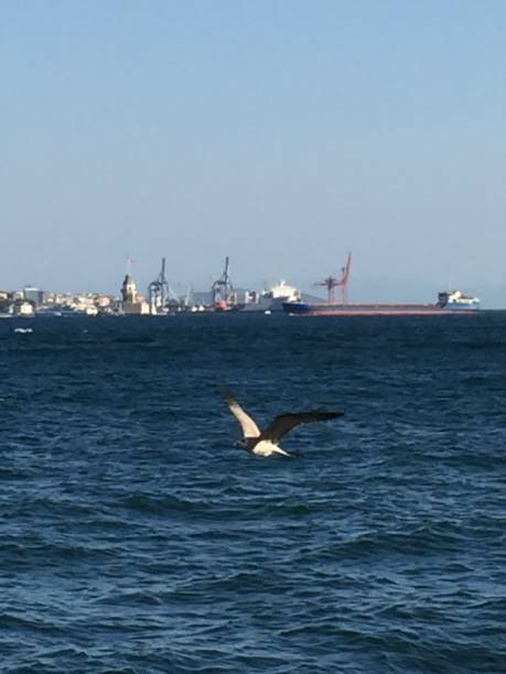istock Istanbul landscape throat canal sea bird landscape panoramic visual 1208168542