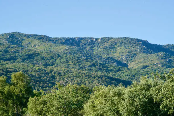 Background of greened mountains under a blue sky