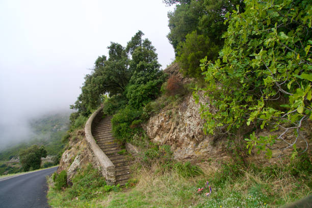 Historical stairway onto a greened rock, fog in the background