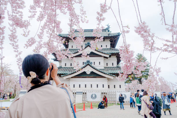 touristen fotografieren das hirosaki castle in aomori, das ein weltweit anerkannter ort für kirschblütenbeobachtung ist. - präfektur aomori stock-fotos und bilder