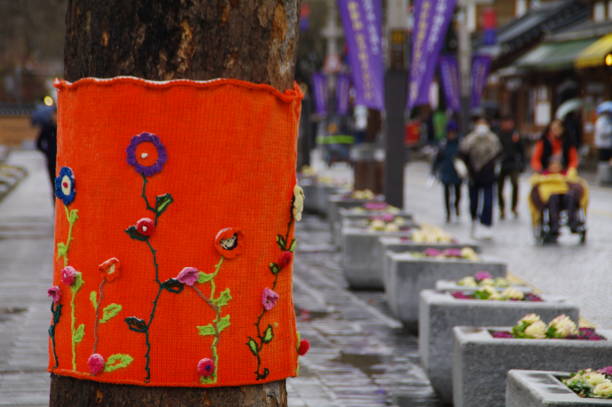 The tree in Jeonju, South Korea contained a warm message of 'It's Okay' winter and hung it with wool.