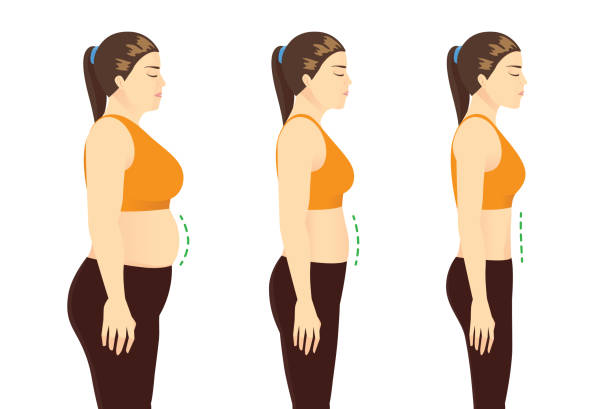 胖女人在運動服得到一個平坦的肚子在3步。減肥後的美容造型。 - 削減 插圖 幅插畫檔、美工圖案、卡通及圖標