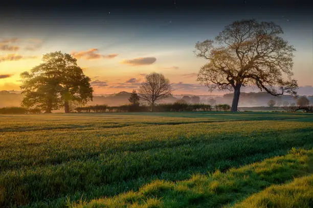 Sunrise rural landscape with mist and pink skies in Norfolk UK. Spring time scene with fields, crops and mature trees