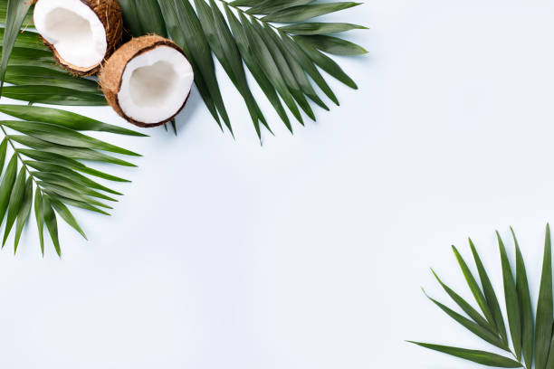 istock Palm leaves and coconut halves on blue background 1208178139