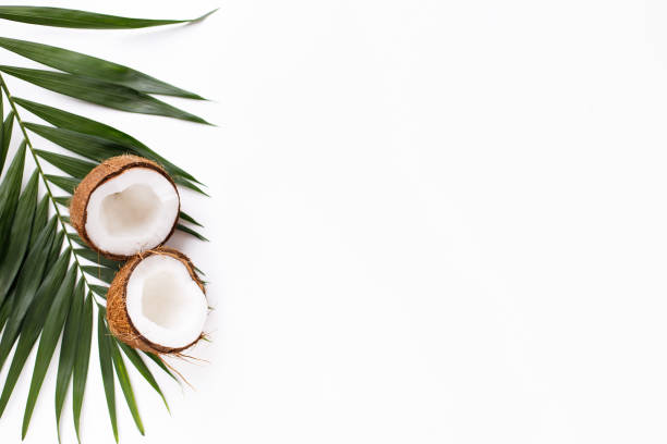istock Palm leaves and coconut halves on white background 1208178150