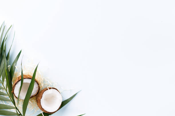 istock Palm leaves and coconut halves on blue background 1208178175