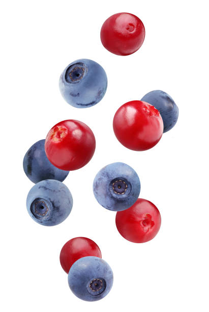 istock falling blueberries and cranberries isolated on white background with a clipping path. 1208179463