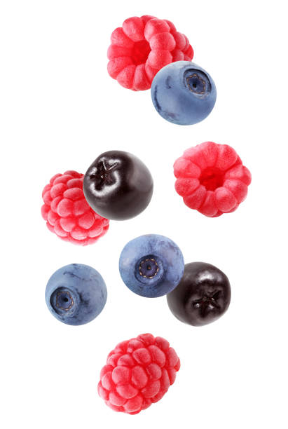 istock flying blueberries, chokeberry and raspberry isolated on white b 1208179606