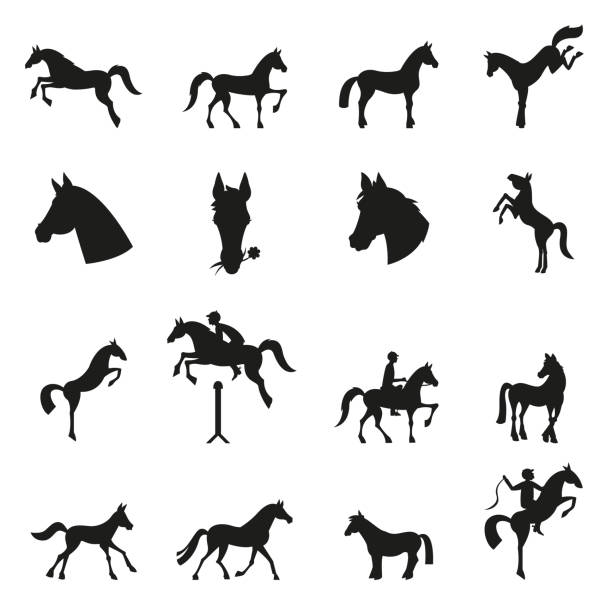 ilustraciones, imágenes clip art, dibujos animados e iconos de stock de colección de caballos - silueta vectorial. - colts