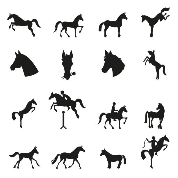 коллекция лошадей - векторный силуэт. - pony stock illustrations