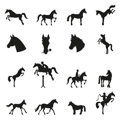 Horse collection - vector silhouette. Vector set of horse head silhouette.