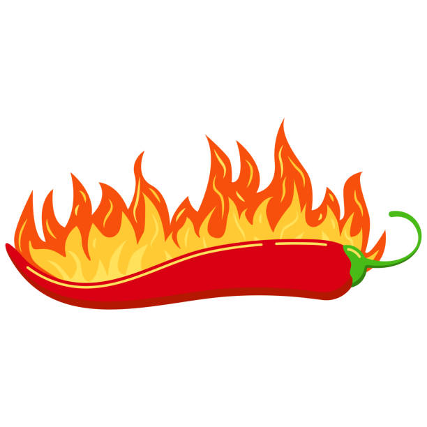 rote chili-pfeffer in verbrannten feuer flamme vektor-symbol isoliert auf weißem hintergrund. - devil chili stock-grafiken, -clipart, -cartoons und -symbole