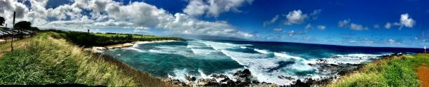 istock wind blown grasses coastal panorama 1208182344