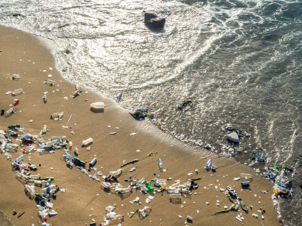 istock Waves pushing plastic waste to the beach 1208182433