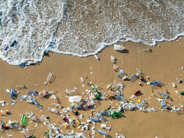 vagues poussant les déchets plastiques à la plage - poisonous organism photos photos et images de collection