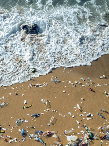 istock Waves and plastic waste in the beach 1208182558