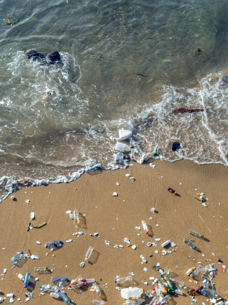 istock Waves pushing plastic waste to the beach 1208183541