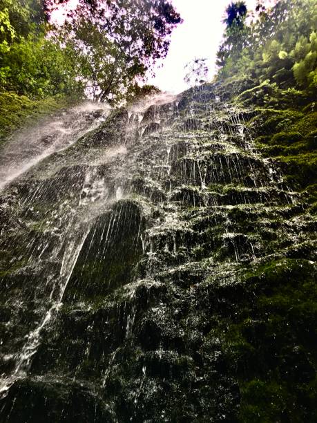 istock waterfalls of maui 1208187287