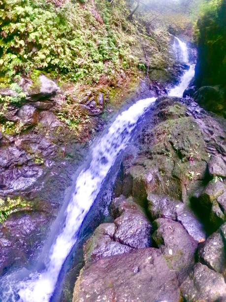 istock waterfalls of maui 1208187431