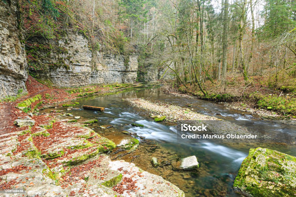 Wutach im Herbst - Lizenzfrei Abholzung Stock-Foto