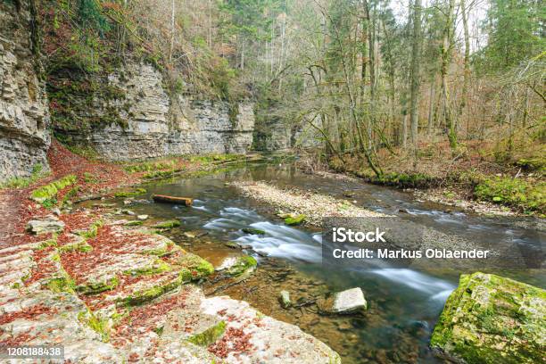 Wutach Im Herbst Stockfoto und mehr Bilder von Abholzung - Abholzung, Bach, Baden-Württemberg