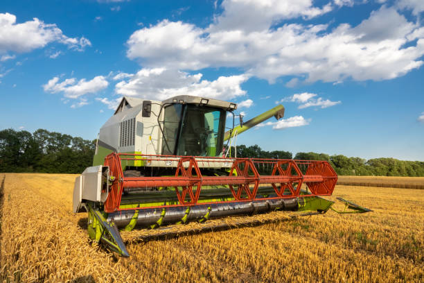 istock modern combine (harvester)  harvesting on wheat field, cloudy sky 1208188725