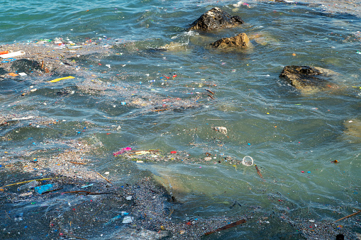 Dirty sea with trash. Sea pollution.