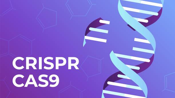 CRISPR CAS9. DNA gene editing tool, genes biotechnology and human genome engineering vector illustration CRISPR CAS9. DNA gene editing tool, genes biotechnology and human genome engineering vector illustration. science medical concept gene editing stock illustrations