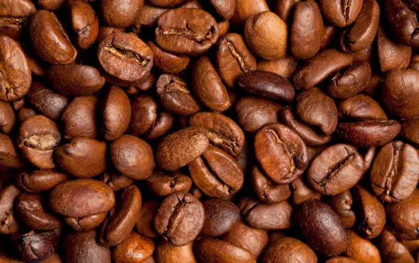 Photo of Coffee beans Backgrounds
