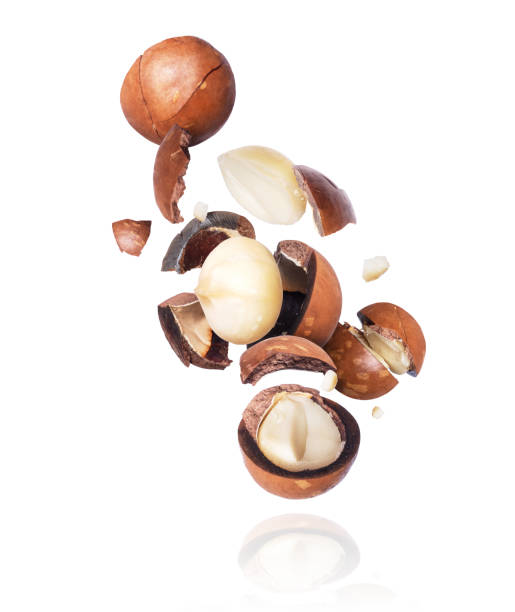 istock Group of macadamia nuts crushed in the air on a white background 1208193575