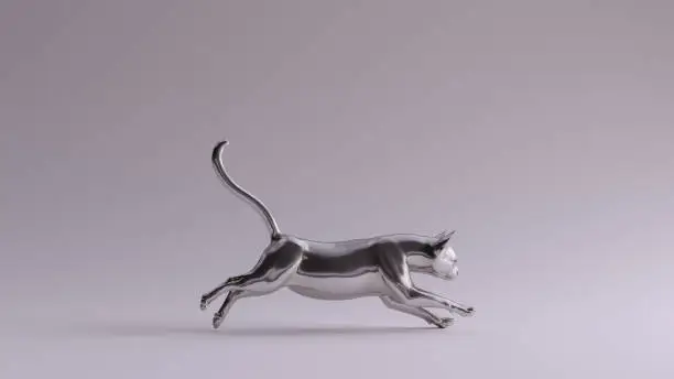 Photo of Silver Cat Pose