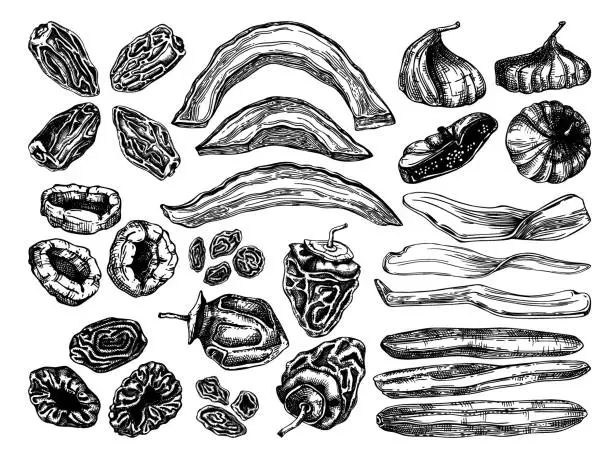 Vector illustration of Dried fruits illustration collection