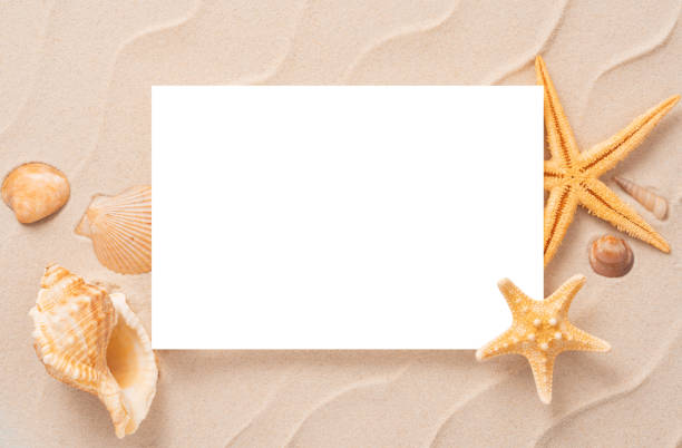 istock Minimal exotic concept with copy space. summer beach background, Sand, shells, Seastar vacation and travel concept, Flat lay top view 1208195454