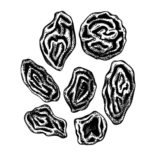 Drawable Raisins Raisin Drawing Illustrations, Royalty-Free Vector Graphics & Clip Art ...
