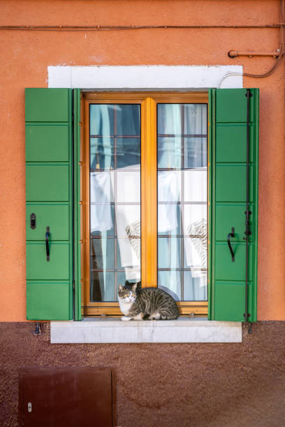 istock Venice windows and doors 1208196319