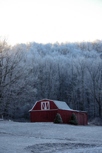 istock The Red Barn in the Wintery Scene 1208196591