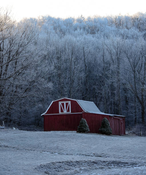 istock The Red Barn in the Wintery Scene 1208196617
