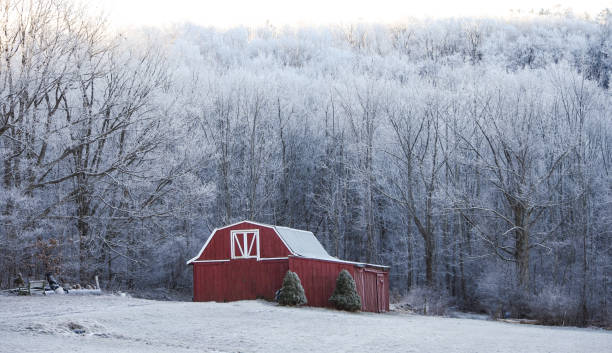 istock The Red Barn in the Wintery Scene 1208196631